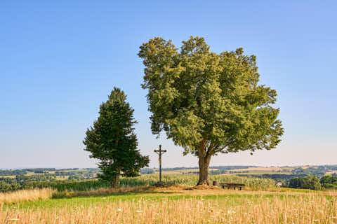 Gemeinde Bad_Griesbach Landkreis Passau Karpfham Ausichtspunkt mit Kreuz (Dirschl Johann) Deutschland PA